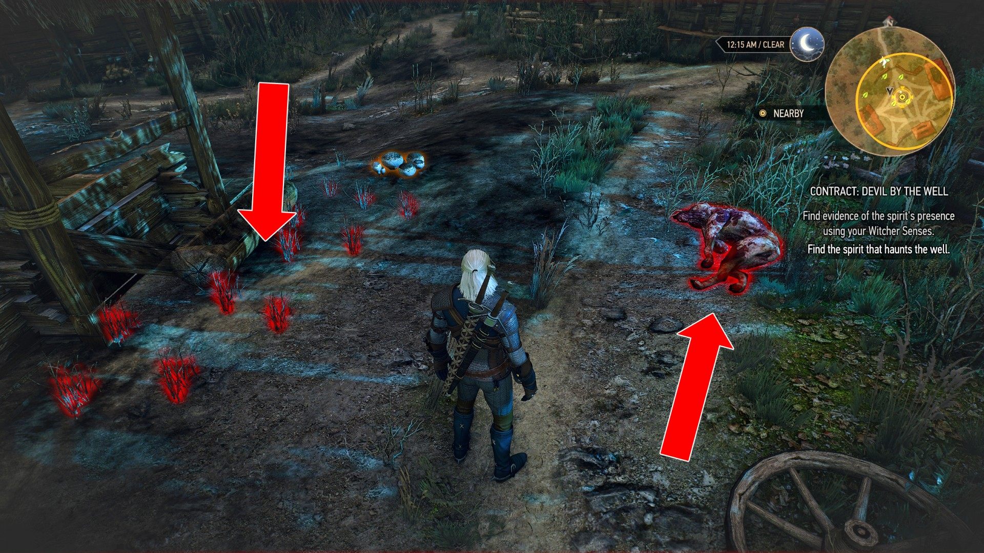 Read The Entry About Noonwraiths In The Bestiary Contract: Devil by the Well, Witcher 3: Wild Hunt Quest