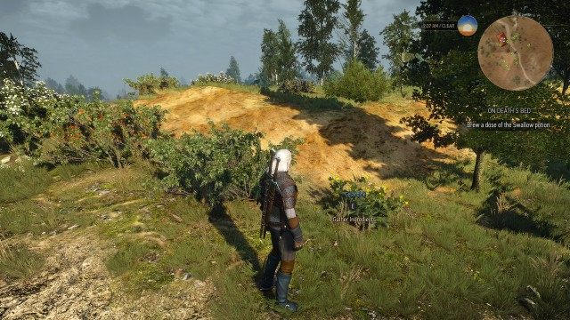 Brew a dose of the Swallow potion.