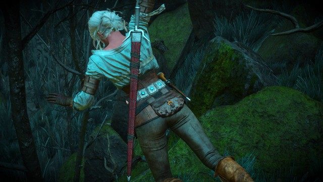 Ciri's Story: The King of the Wolves