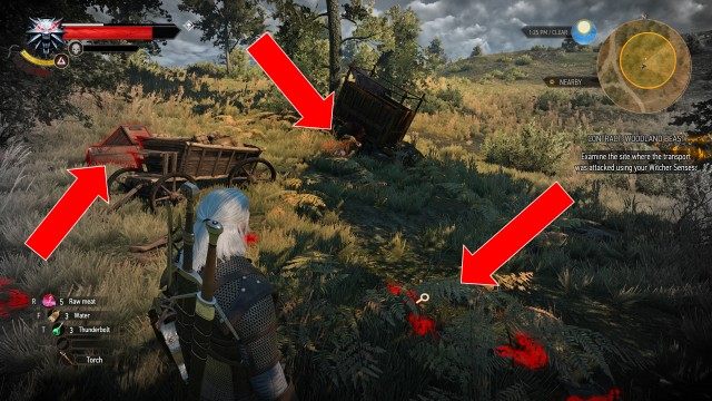 Examine the site where the transport was attacked using your Witcher Senses.