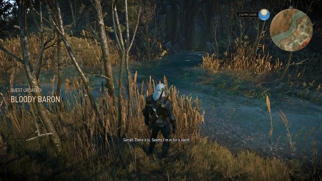 Find the cave that leads under Crow's Perch. / Dive underwater to enter the cave.