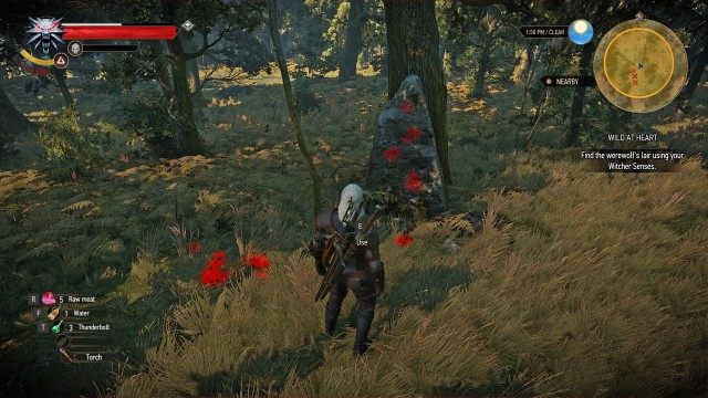 Find the werewolf's lair using your Witcher Senses.
