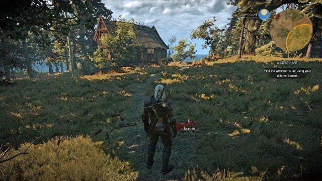 Find the werewolf's lair using your Witcher Senses.