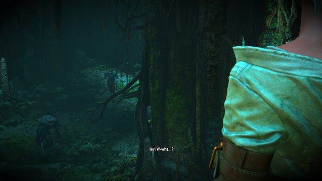 Follow Gretka. / Protect Gretka from the wolves.