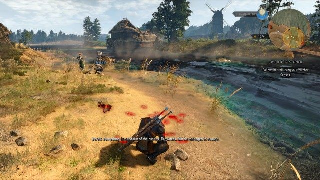 Follow the trail using your Witcher Senses.