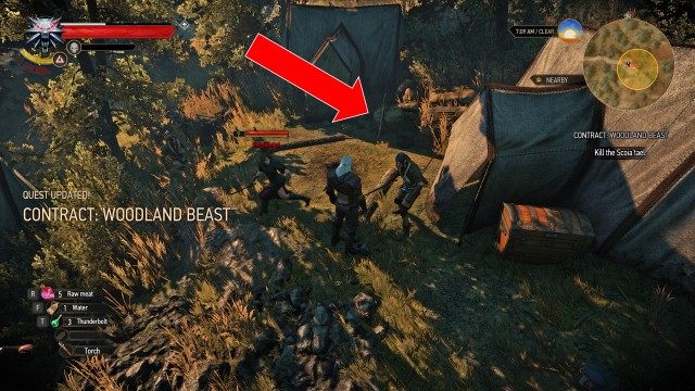 (Optional) Kill the Scoia'tael.