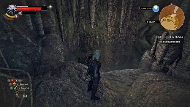 Find a way out of the cave. / Leave the cave.