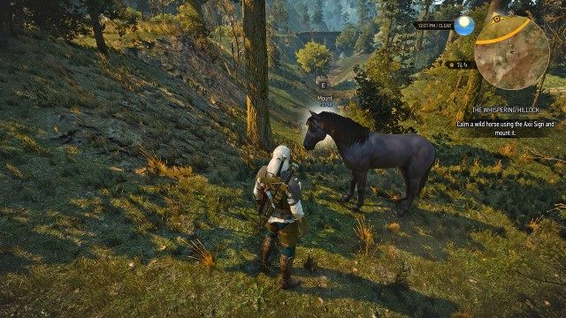 Calm a wild horse using the Axii Sign and mount it.
