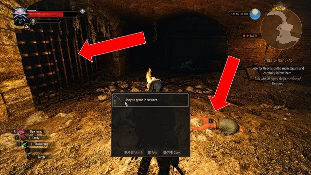 (Optional) Find an entrance into the sewers outside Novigrad.