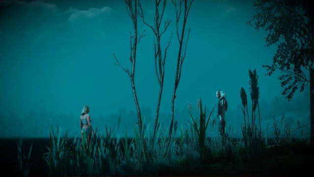 Find Keira using your Witcher Senses.