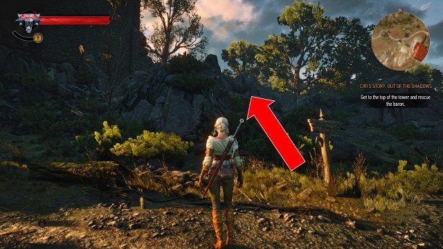 Get to the top of the tower and rescue the baron.