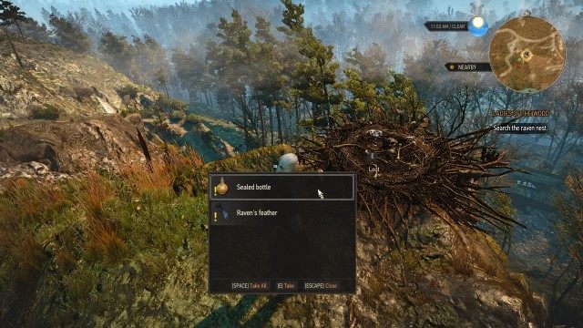 Raven Nest