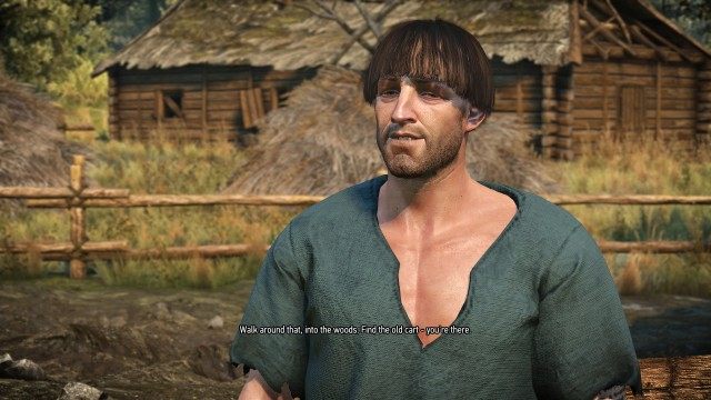 (Optional) Talk to the peasant who visits the witch often.