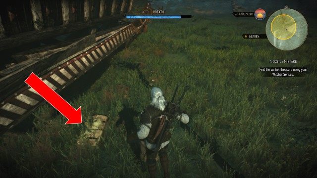 A Costly Mistake (Treasure)