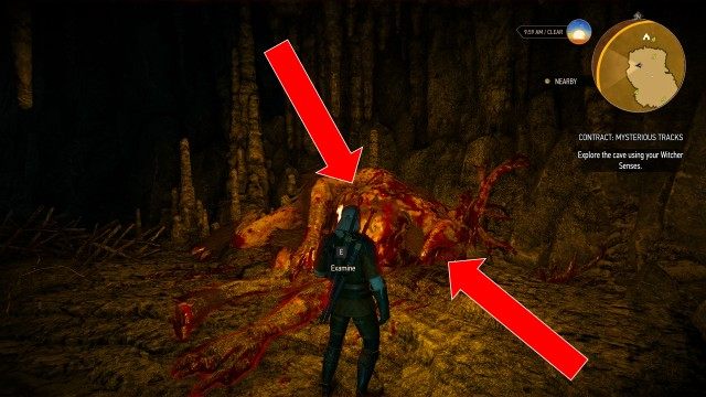 Explore the cave using your Witcher Senses.