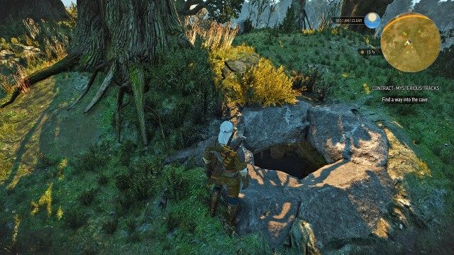 Find a way into the cave.