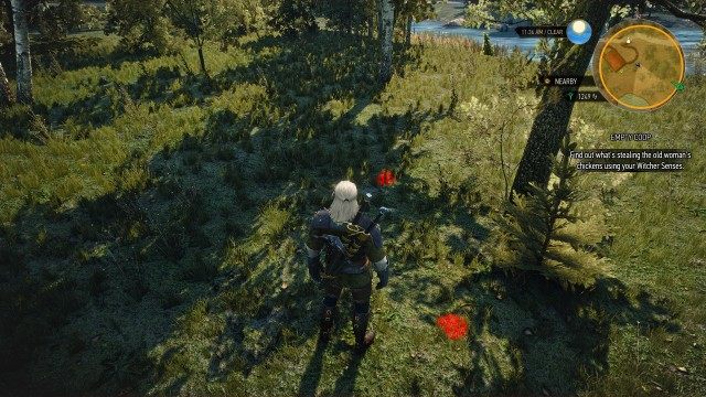 Find out what's stealing the old woman's chickens using your Witcher Senses.