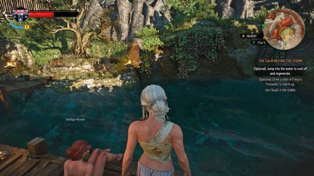 (Optional) Jump into the water to cool off and regenerate.