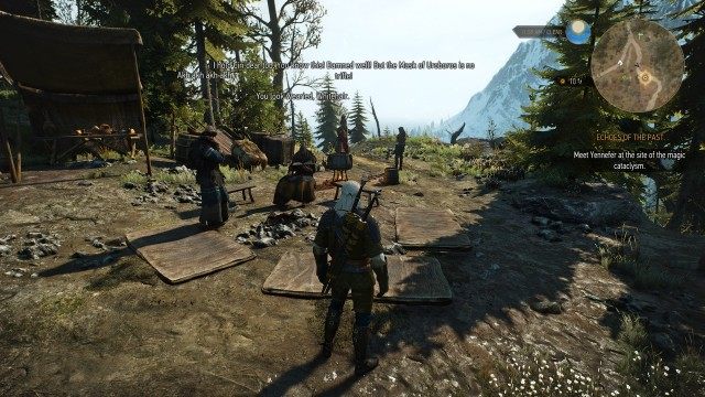 Meet Yennefer at the site of the magic cataclysm.