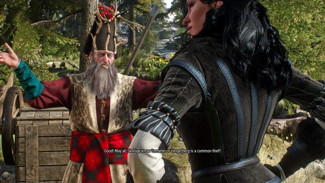Meet Yennefer at the site of the magic cataclysm.