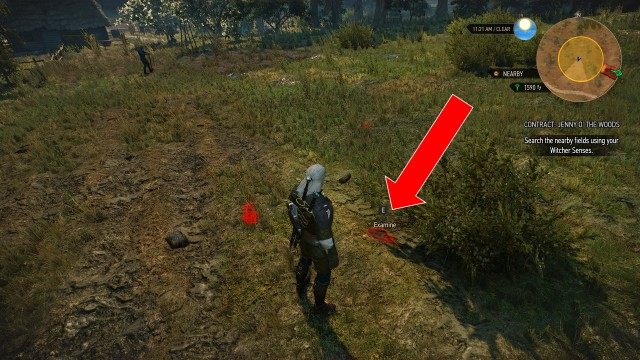 Search the nearby fields using your Witcher Senses.