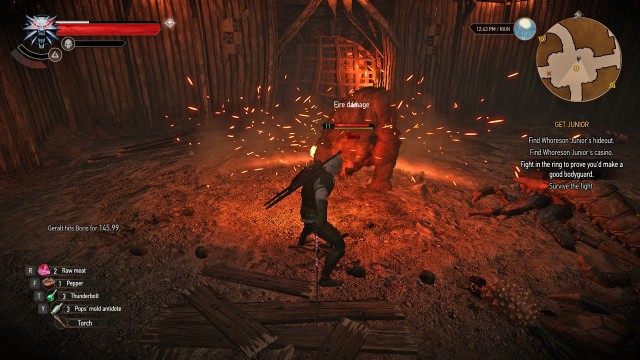 Defeat your opponent. / (Optional) Kill the wild dogs. / Survive the fight.