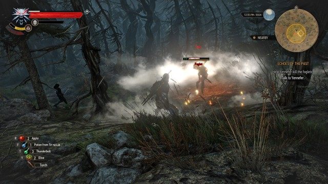 Talk to Yennefer. / Help Yennefer kill the foglets.