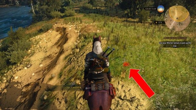 Use your Witcher Senses to pick up the trail. / Ask if anyone from the camp has seen Dandelion's abductor.