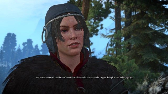 Iron Maiden, Witcher 3: Wild Hunt Quest