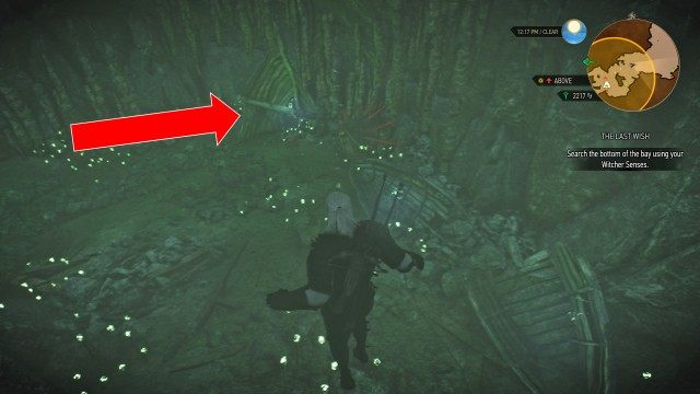  Help Yennefer find the djinn. / Search the bottom of the bay using your Witcher Senses. / Return to the boat.