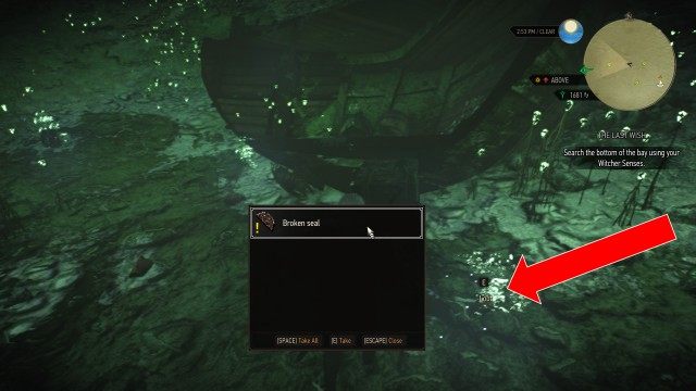  Help Yennefer find the djinn. / Search the bottom of the bay using your Witcher Senses. / Return to the boat.