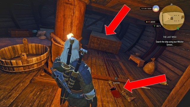 Search the ship using your Witcher Senses.