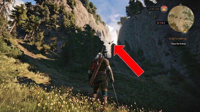 Fight the forktail. / Chase the forktail. / Follow the forktail's blood trail using your Witcher Senses.