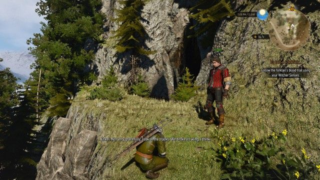 Fight the forktail. / Chase the forktail. / Follow the forktail's blood trail using your Witcher Senses.