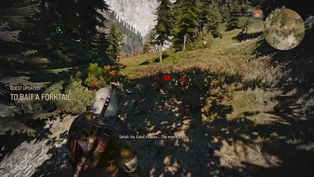 Follow the smell using your Witcher Senses.