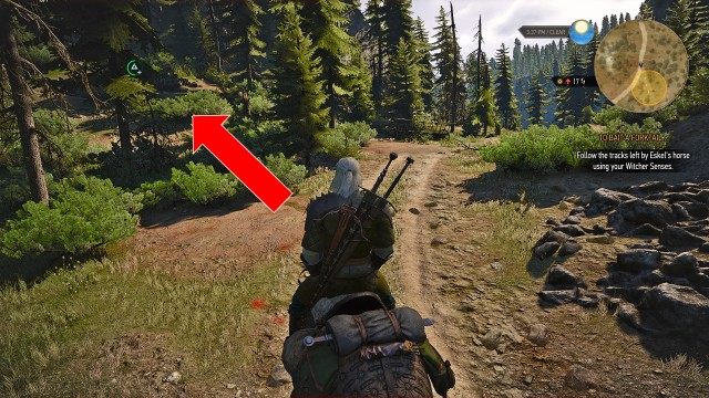 Follow the tracks left by Eskel's horse using your Witcher Senses.