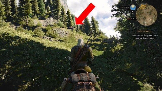 Follow the tracks left by Eskel's horse using your Witcher Senses.