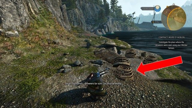 Investigate the place where the drowners were seen using your Witcher Senses. / Search for the drowners' lair using your Witcher Senses.
