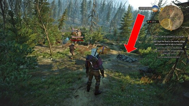 Search the woods for the missing apprentice and some pimpernel using your Witcher Senses. / (Optional) Kill the succubus.