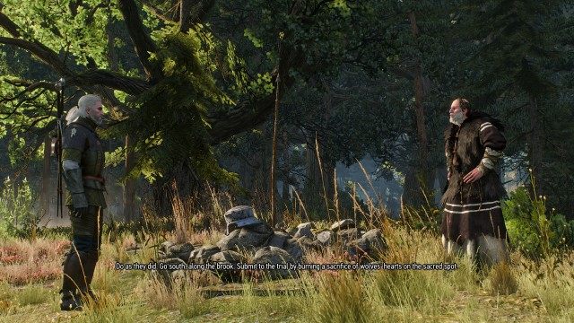 (Optional) Talk to Harald about the leshen.