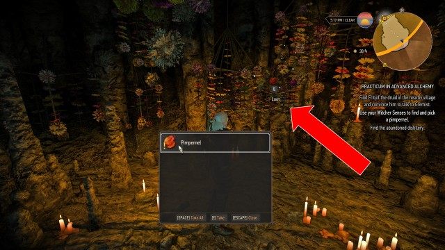 (Optional) Follow the succubus to her lair. / Use your Witcher Senses to find and pick a pimpernel.