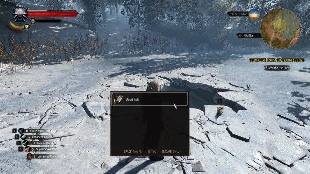 Throw a bomb at the hole in the ice. / Collect the fish. 0/4