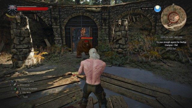 Try your strength against the Skellige champion - Olaf. / Enter the arena. / Defeat Olaf.
