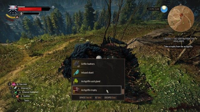 Find the archgriffin using your Witcher Senses and kill it.