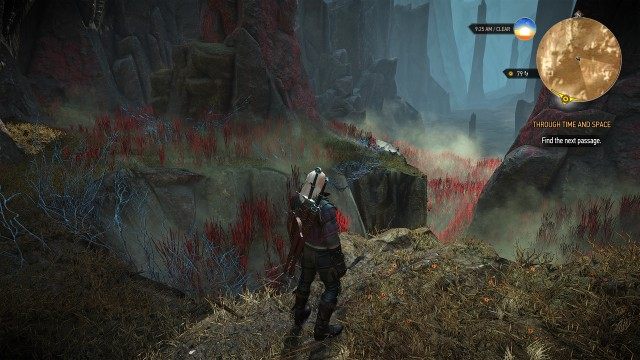 Find the next passage.