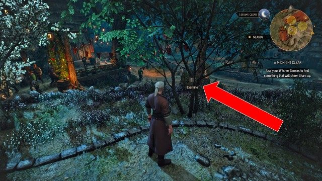 Give Shani the present.