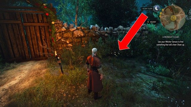 Give Shani the present.