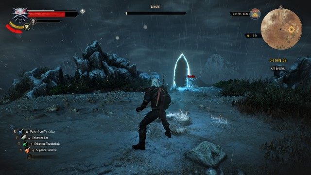 Kill Eredin. / Follow Eredin into the portal.