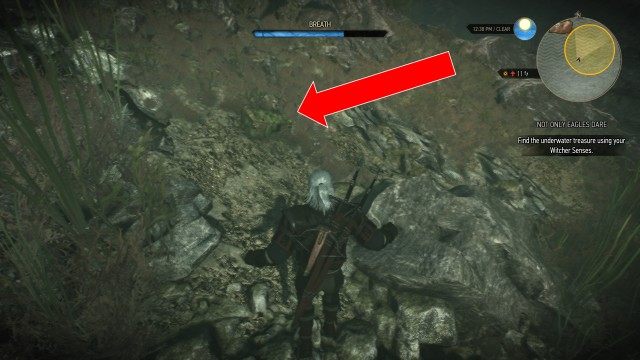 Find the underwater treasure using your Witcher Senses.