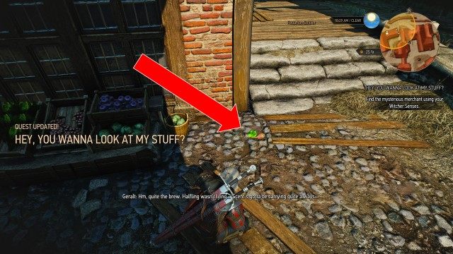 Search the area using your Witcher Senses.